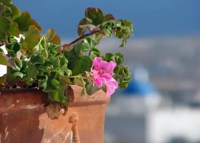 Irida Santorini Hotel